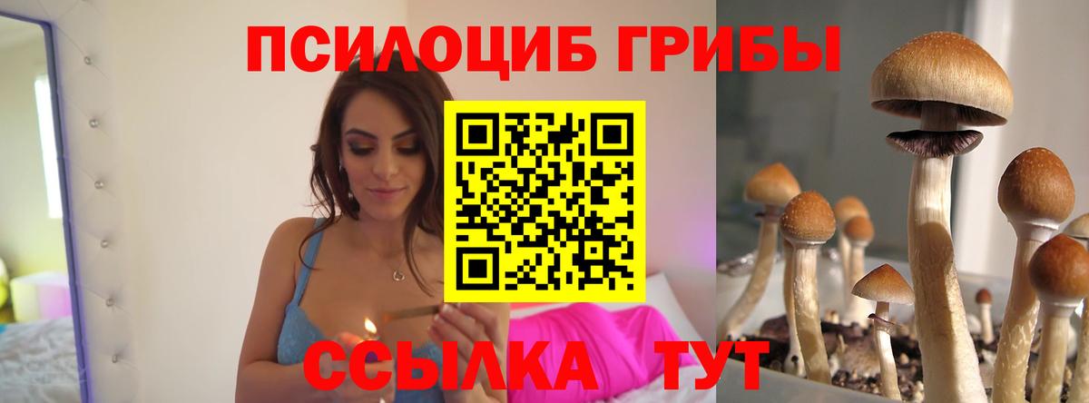 Псилоцибиновые грибы прущие грибы Белореченск
